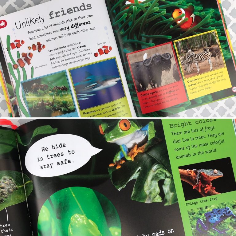 Take your Child on an Animal Adventure with DK Books - My Family Stuff