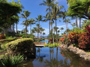 Marriott's Maui Ocean Club