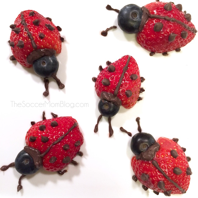 Strawberry Chocolate ladybugs
