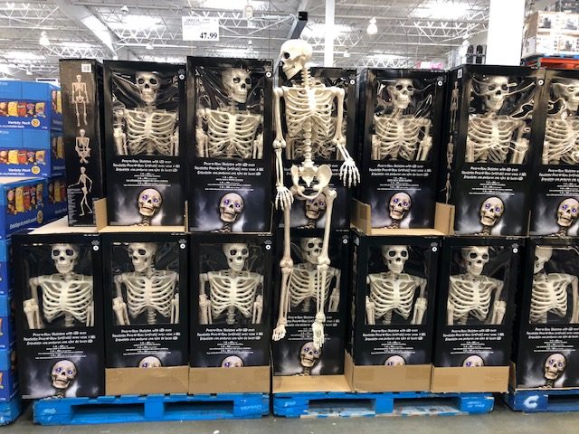 Halloween Must-Haves from Costco - My Family Stuff