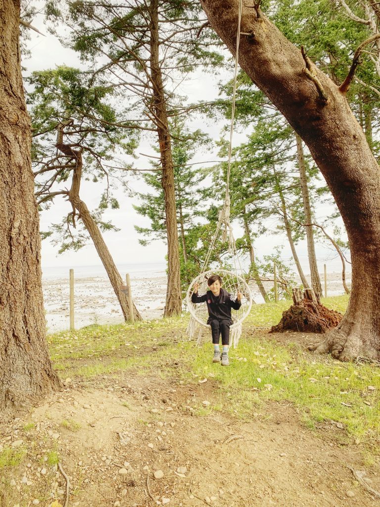 Fossil Beach Farm swings