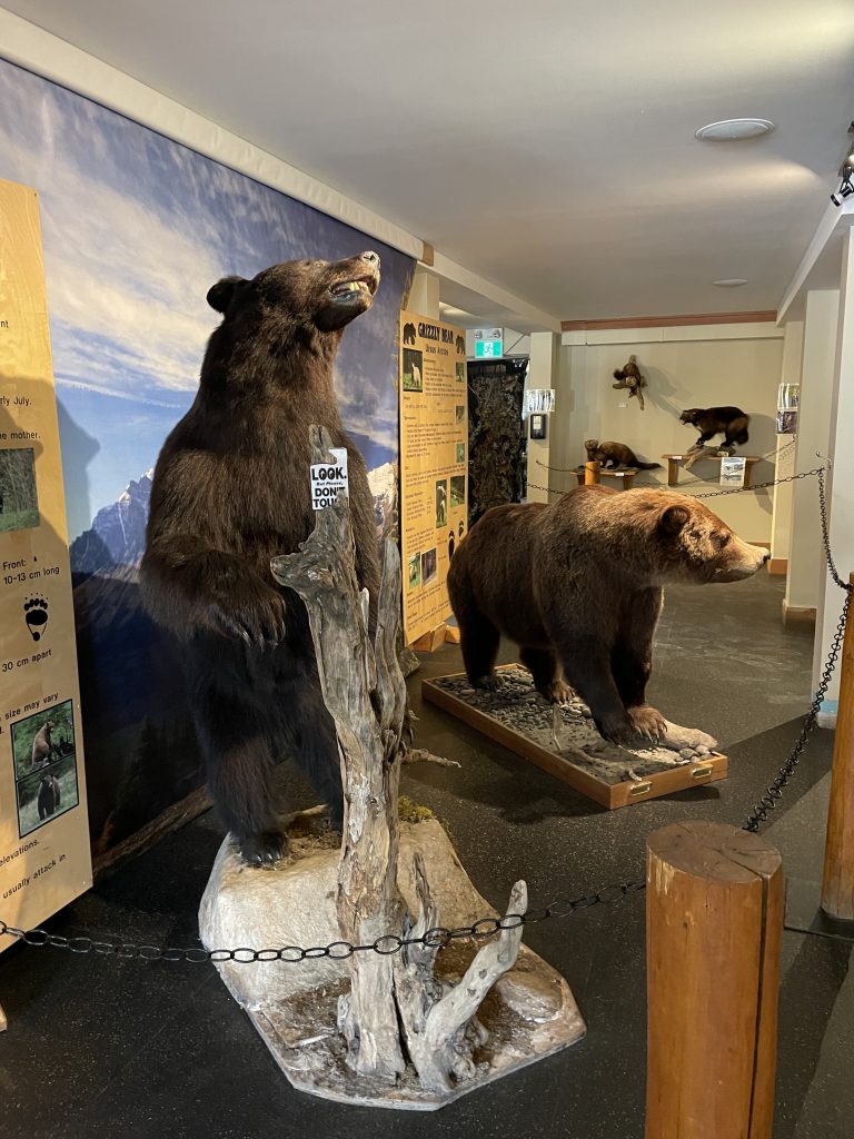 Wildlife Interpretive Centre Lake Louise