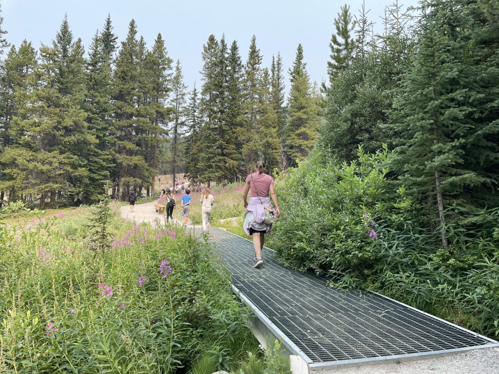 Summer Lake Louise