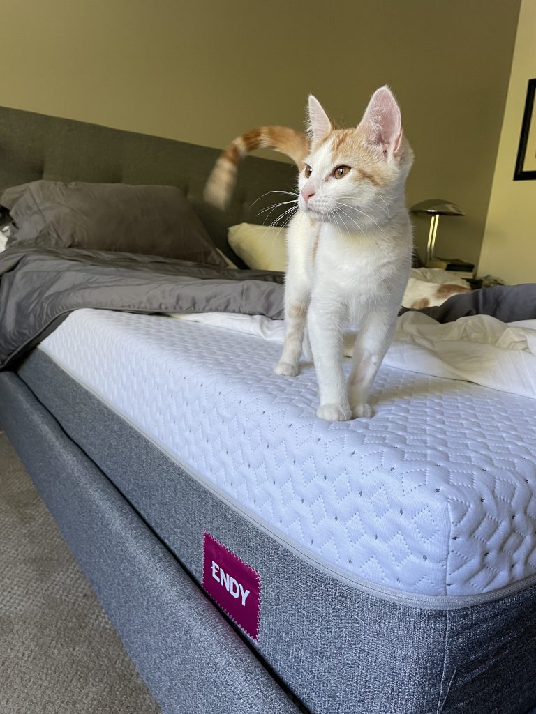 Endy deals twin mattress